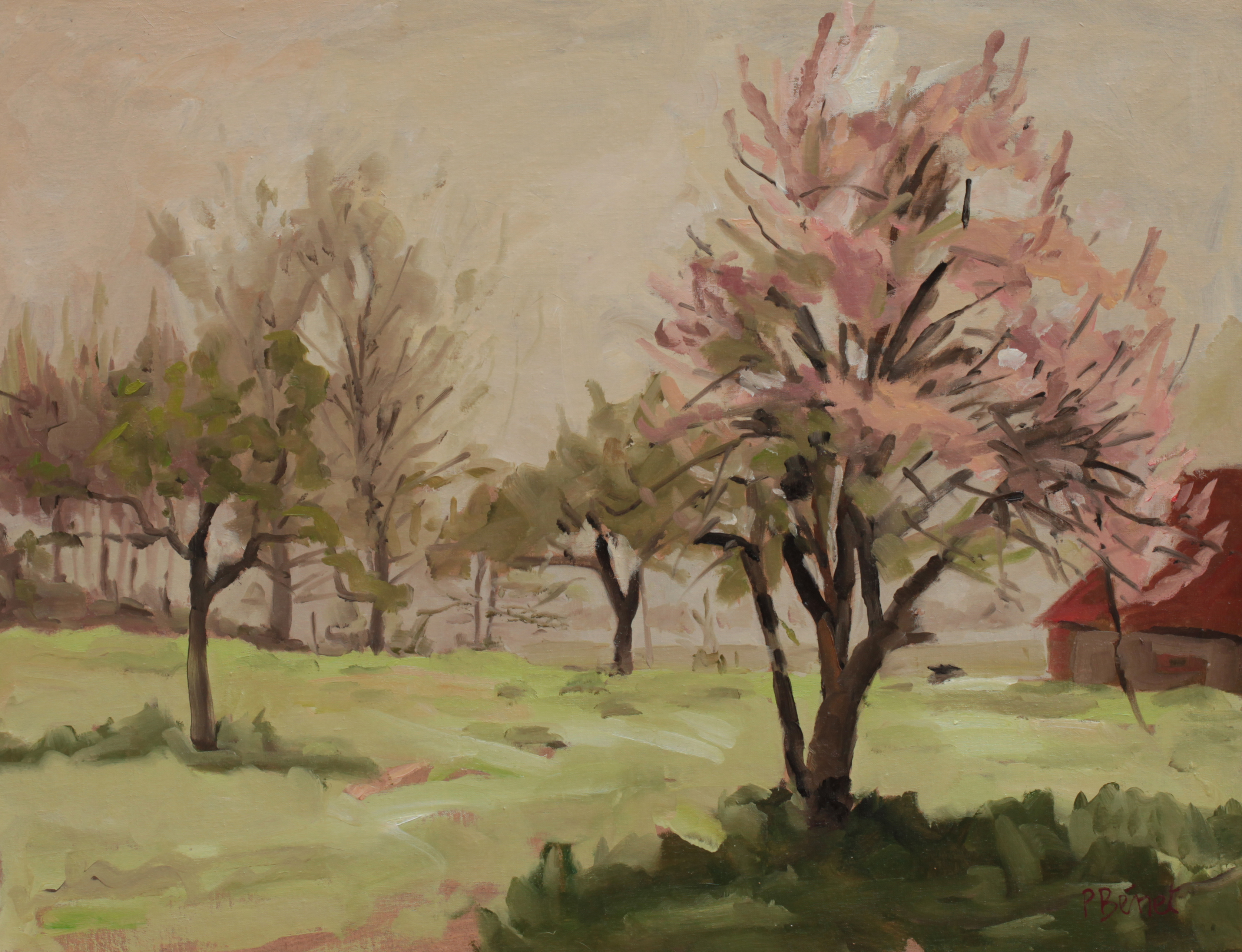 Brume lumineuse    TsP 15P (65 x 50 cm) 2013