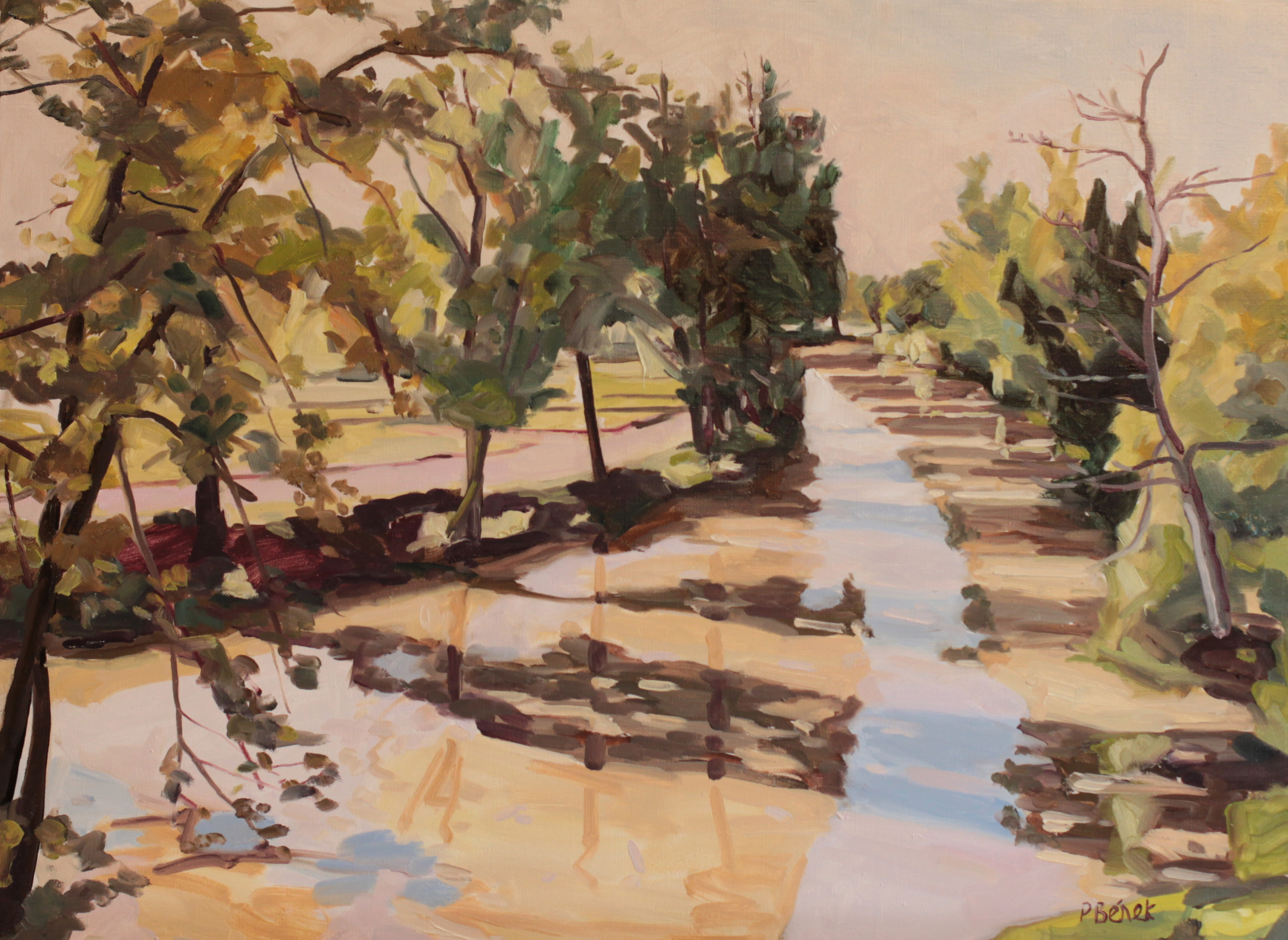 Gave d'Oloron    TsC 25P (81 x 60 cm) 2013