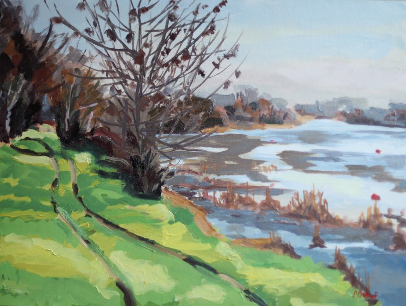 La Loire près d'Angers, 1er janvier    TsC 12P (61 x 46 cm) 2010