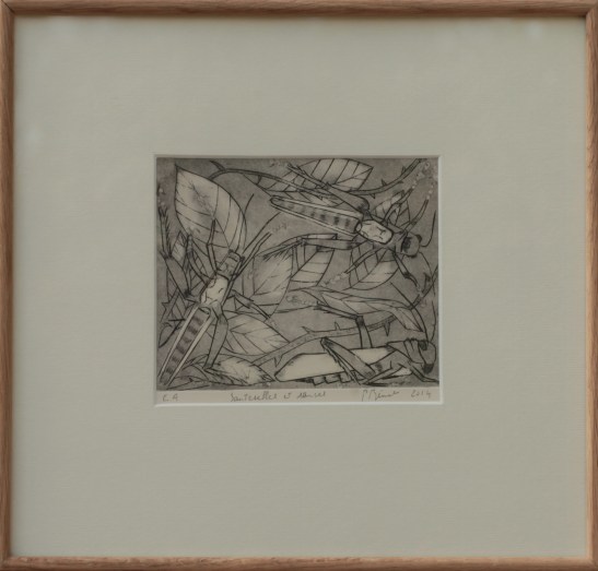 Sauterelles et ronces, burin et pointe sèche (13 x 14 cm) 2014 encadré( 33 x 34 cm)