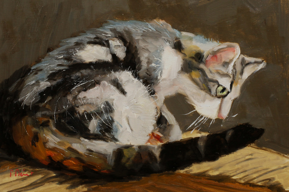 chat en observation - peinture à l'huile PBenet
